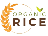 Rice-logo__1_-removebg-preview